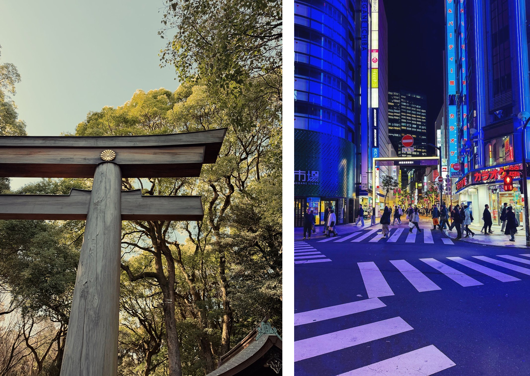 La paz y la locura de Tokio de Japón.