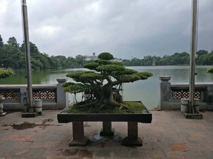 Foto