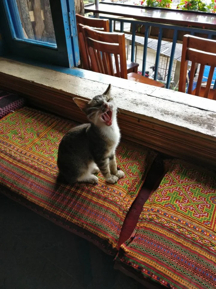 Foto