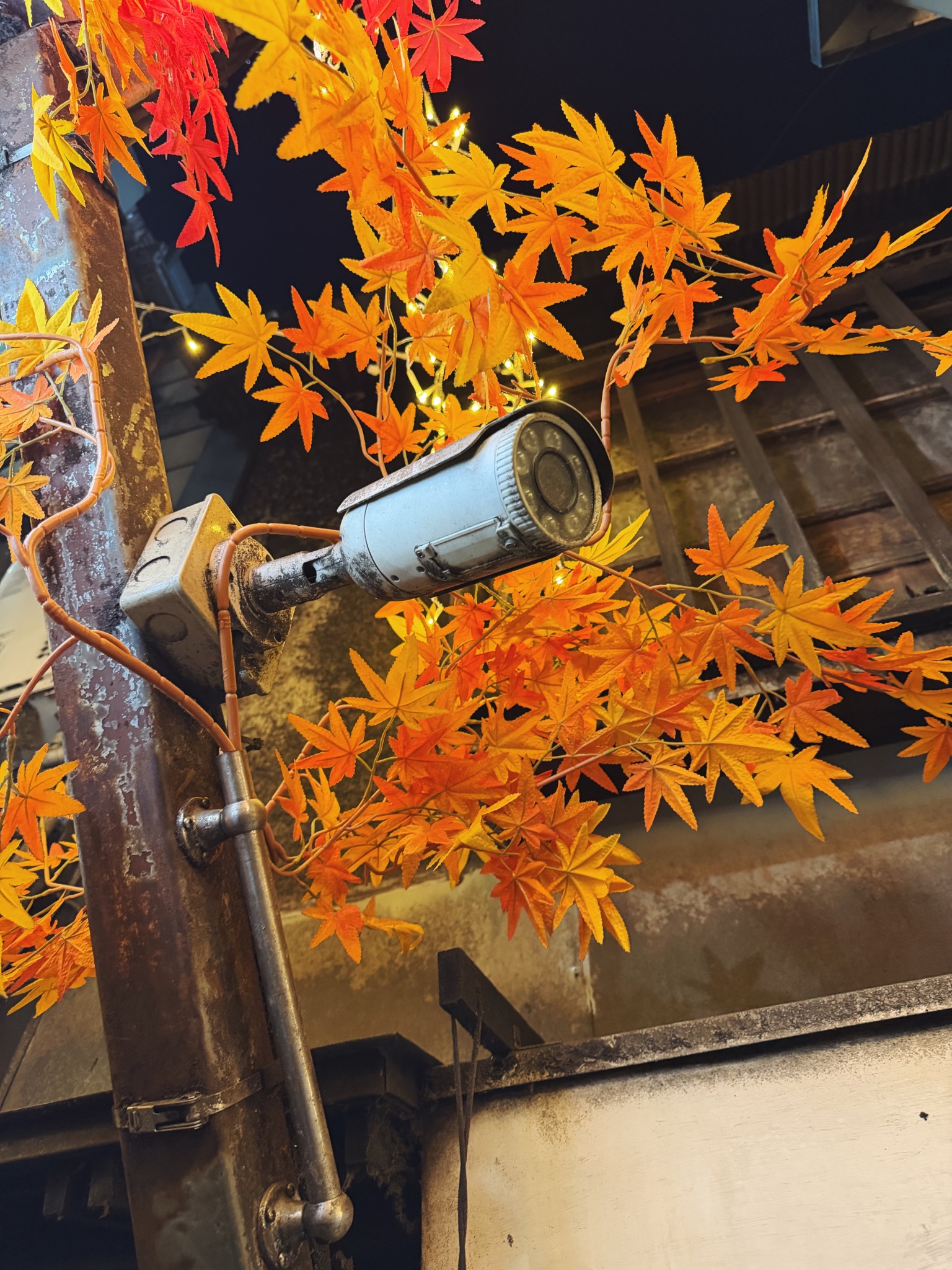 Omoide Yokochō — 新宿西口 思い出横丁
